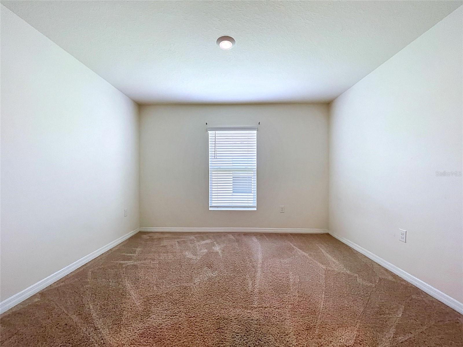 7804 DAVIE RAY DR, ZEPHYRHILLS, FL — photo 19