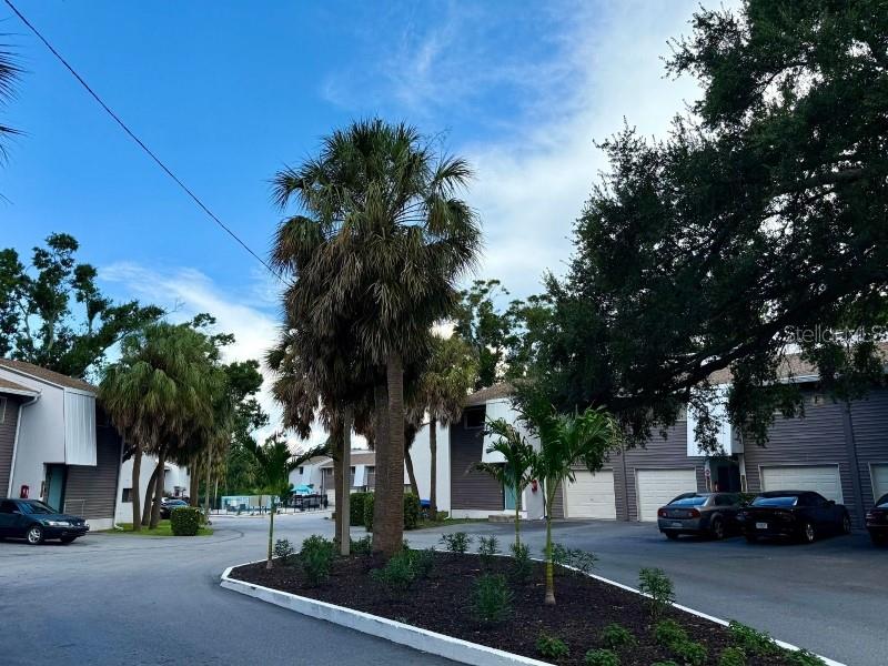 4701 31ST ST S #B2, ST PETERSBURG, FL — photo 14