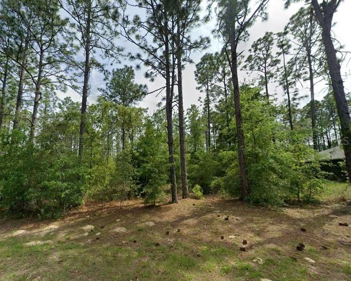 1204 W FAN DR, CITRUS SPRINGS, FL