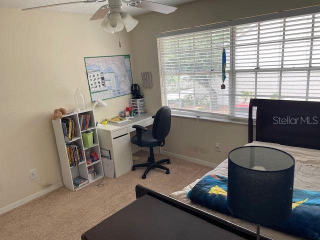 5112 BAYSHORE BLVD, TAMPA, FL — photo 24