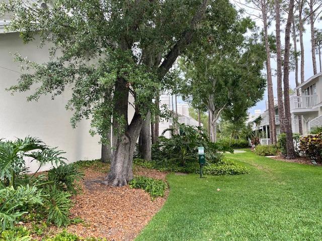 5112 BAYSHORE BLVD, TAMPA, FL — photo 29