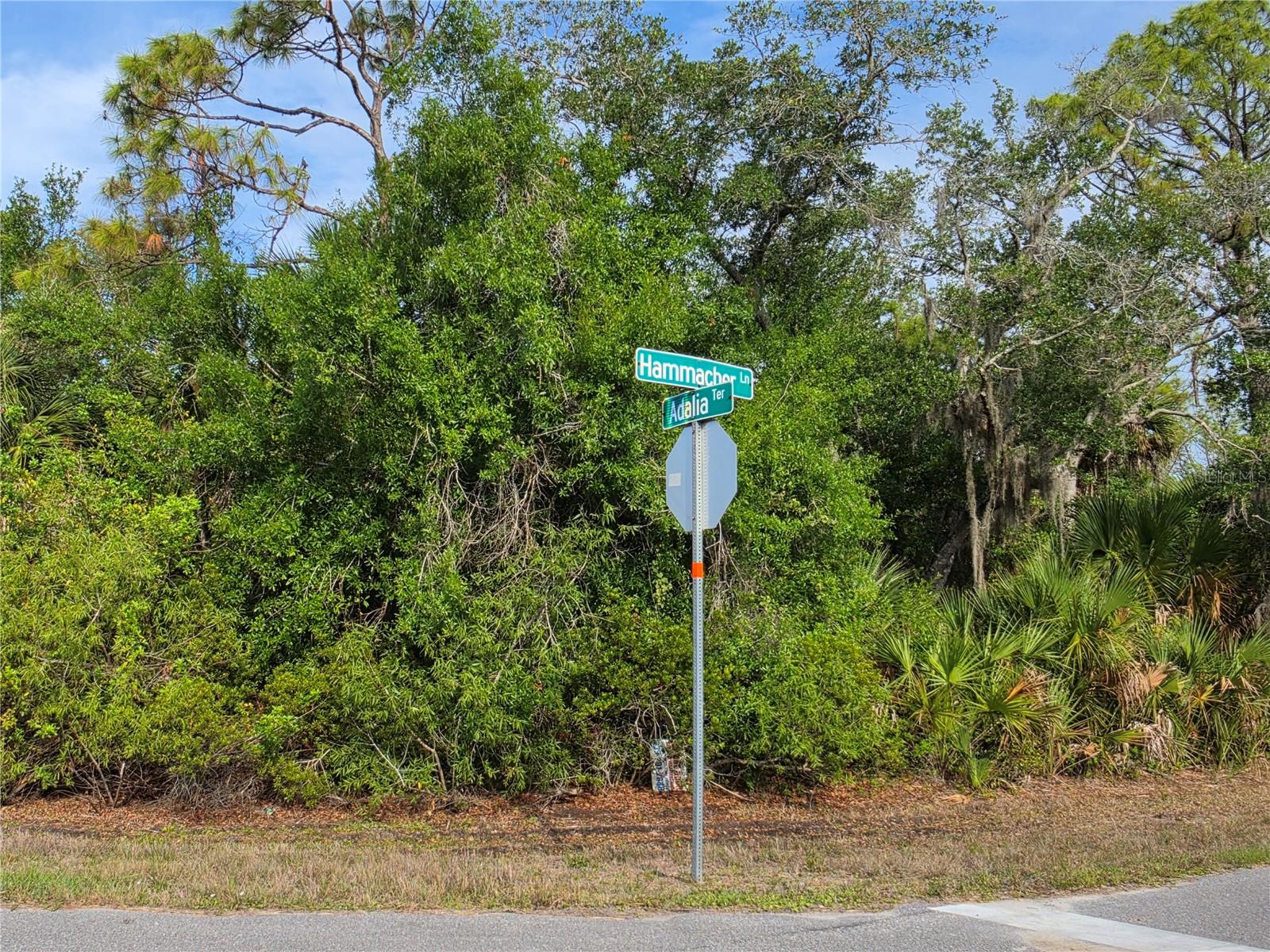 1193 HAMMACHER LN, PORT CHARLOTTE, FL — photo 3