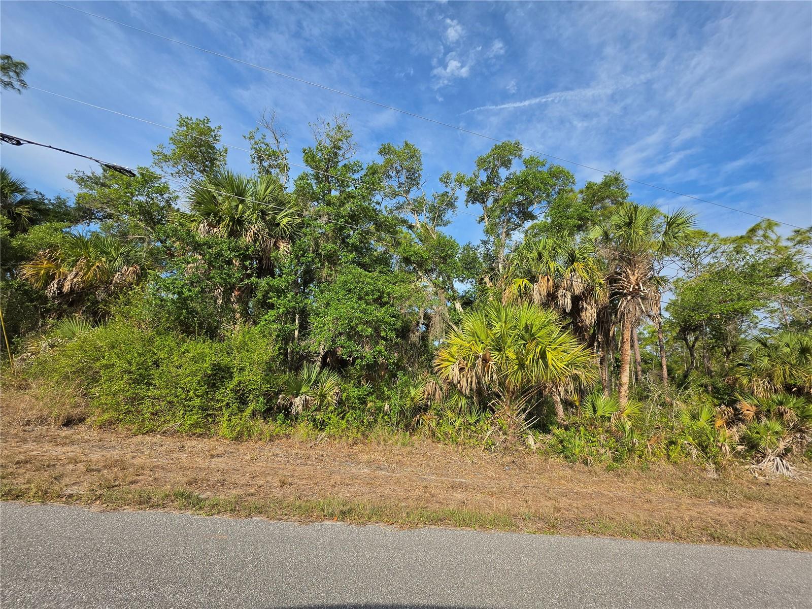 1193 HAMMACHER LN, PORT CHARLOTTE, FL — photo 5
