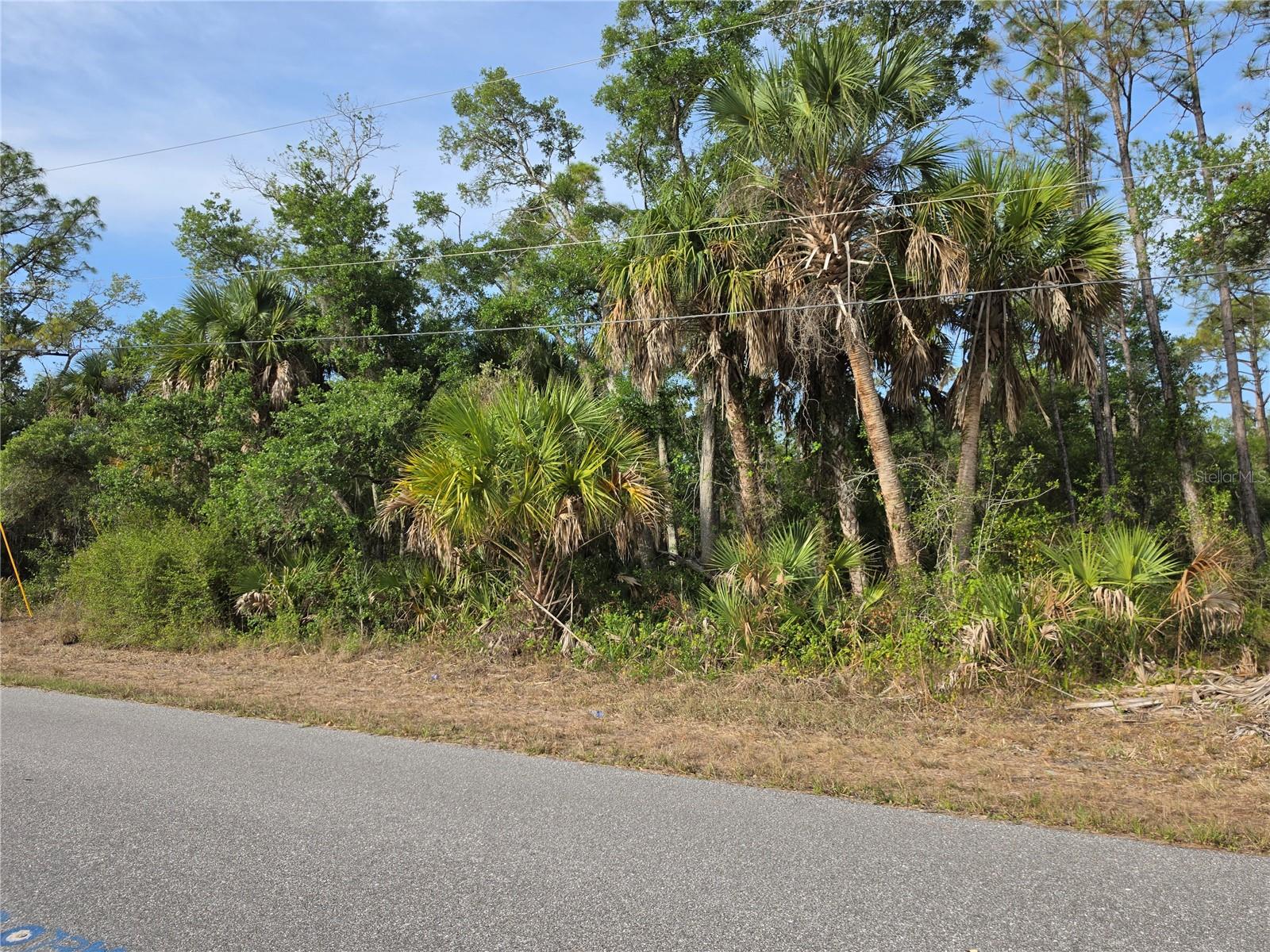 1193 HAMMACHER LN, PORT CHARLOTTE, FL — photo 6