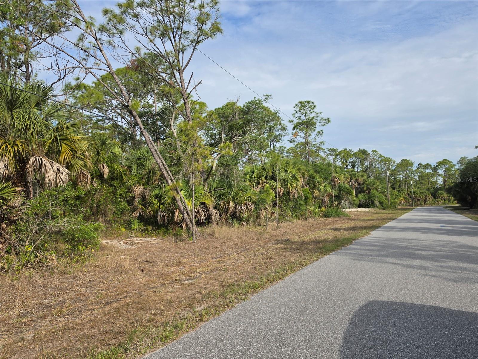 1193 HAMMACHER LN, PORT CHARLOTTE, FL — photo 8