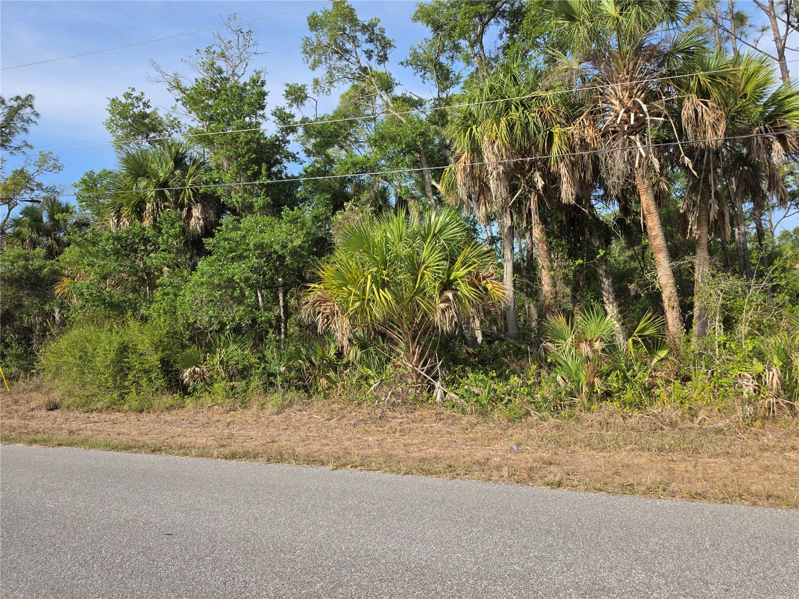 1193 HAMMACHER LN, PORT CHARLOTTE, FL — photo 11