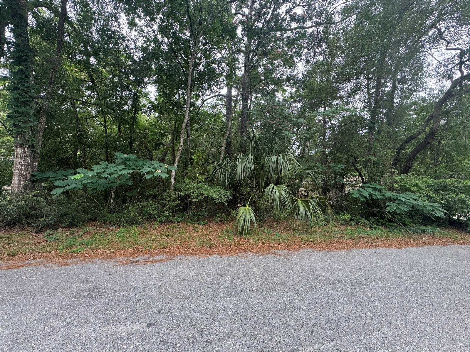 3462 E MICHAEL ST, INVERNESS, FL