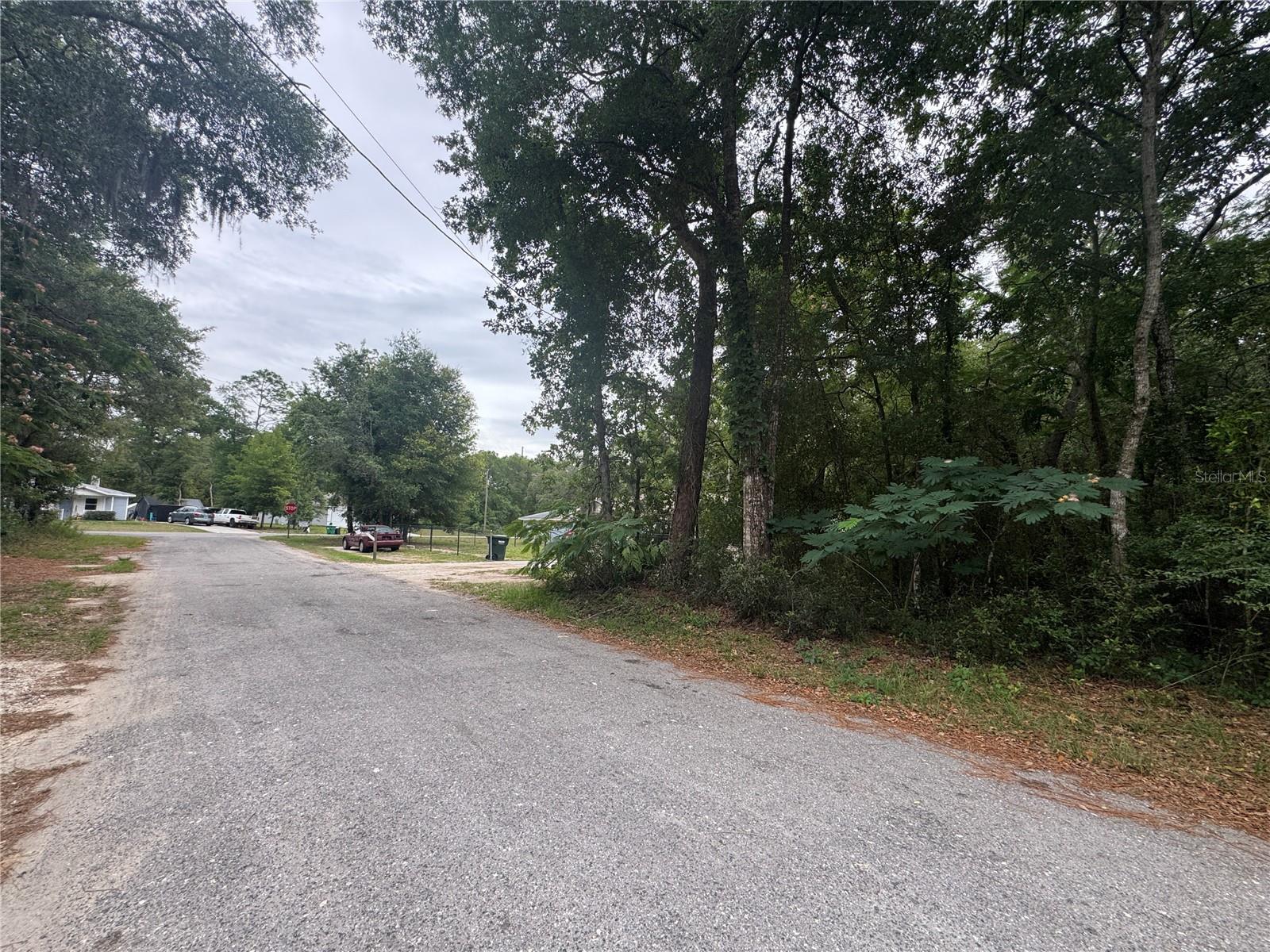 3462 E MICHAEL ST, INVERNESS, FL — photo 2