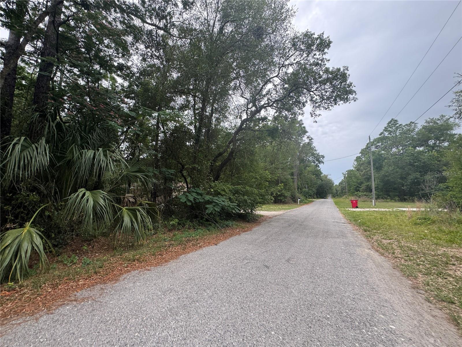 3462 E MICHAEL ST, INVERNESS, FL — photo 3