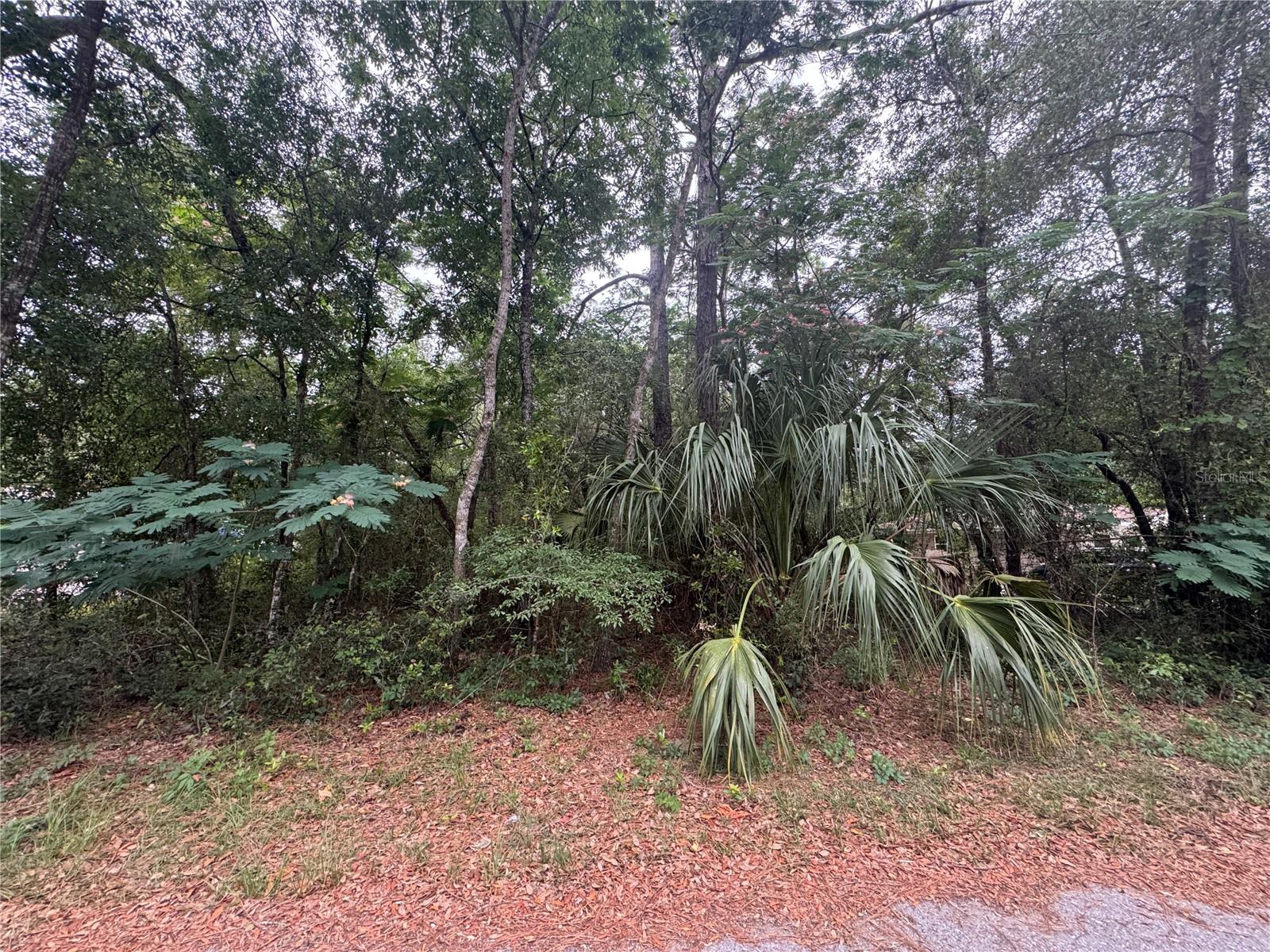 3462 E MICHAEL ST, INVERNESS, FL — photo 4