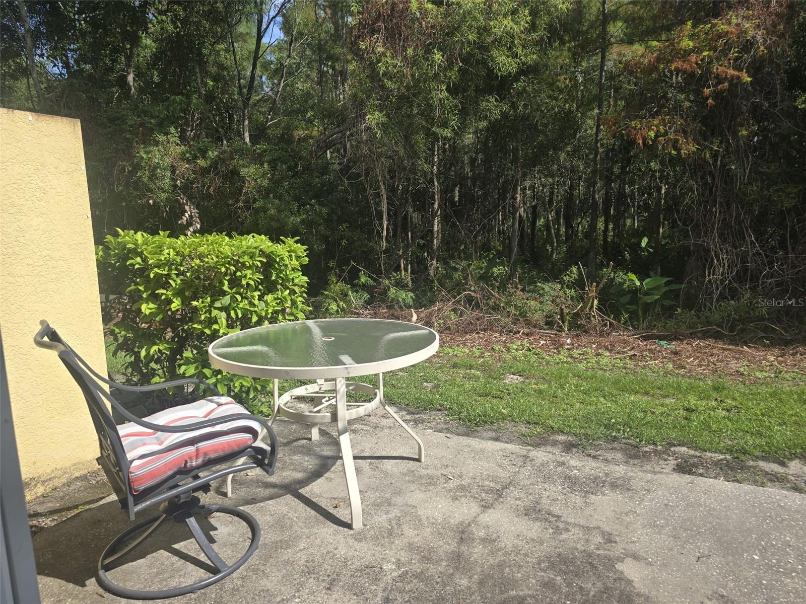 219 GLOWING PEACE LN #85, ORLANDO, FL — photo 19