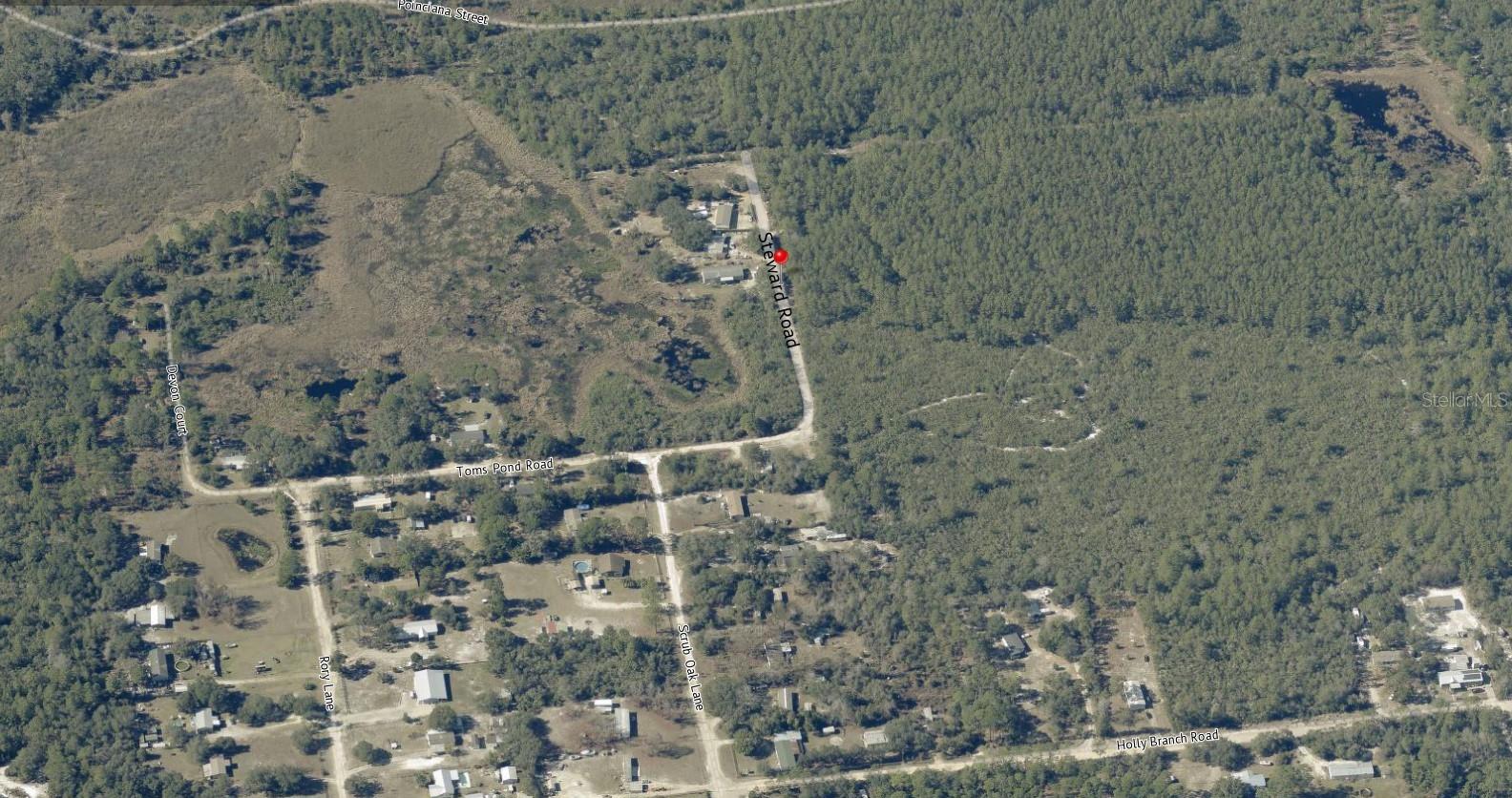 STEWARD RD, EUSTIS, FL — photo 15