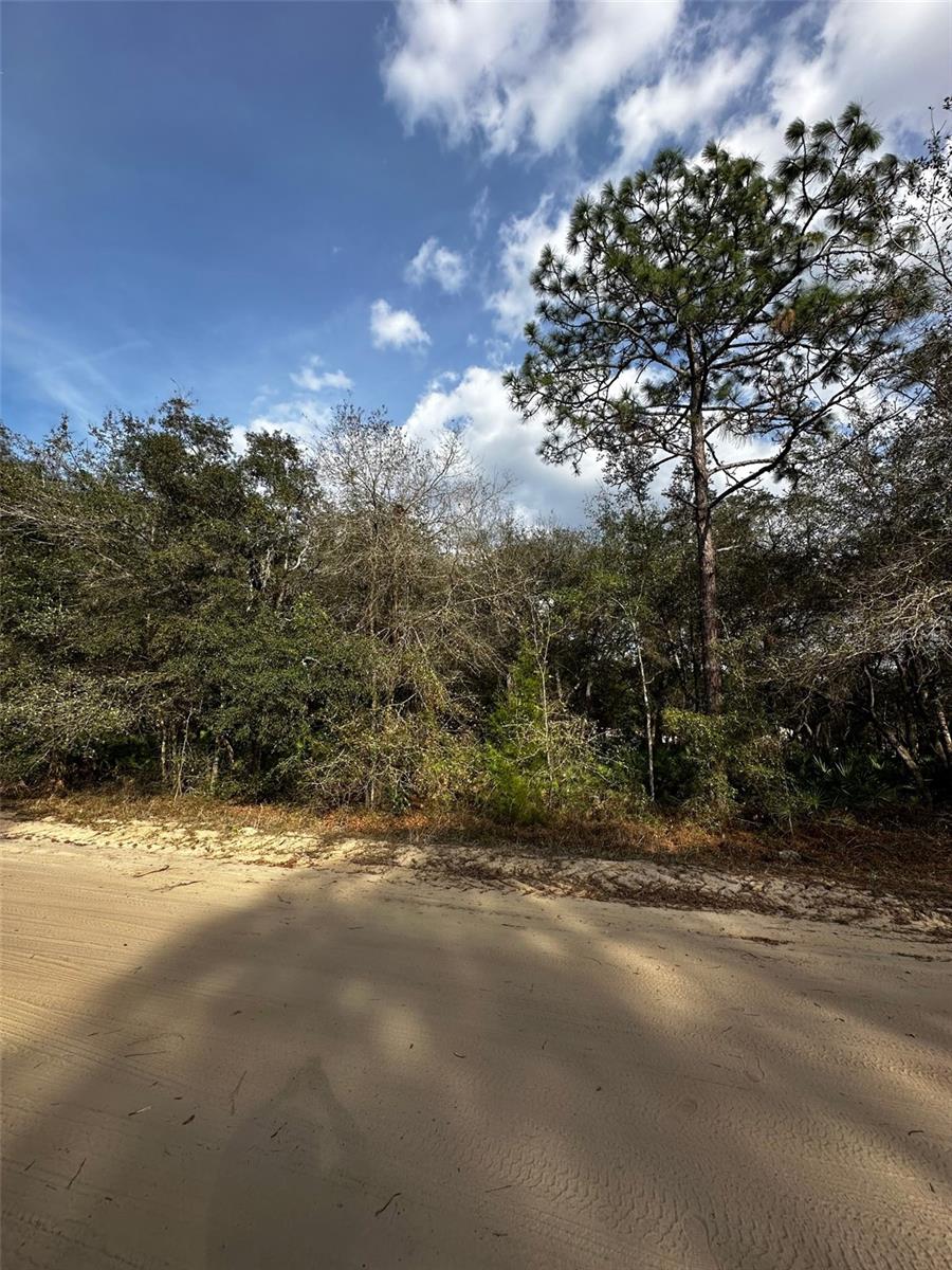 13-10-24-4079-0060-0040, INTERLACHEN, FL