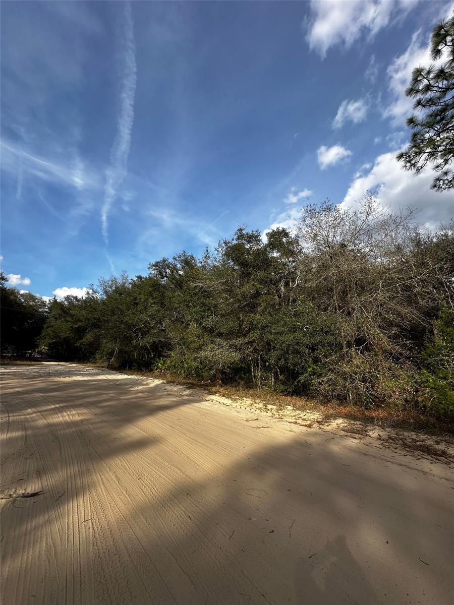 13-10-24-4079-0060-0040, INTERLACHEN, FL — photo 2
