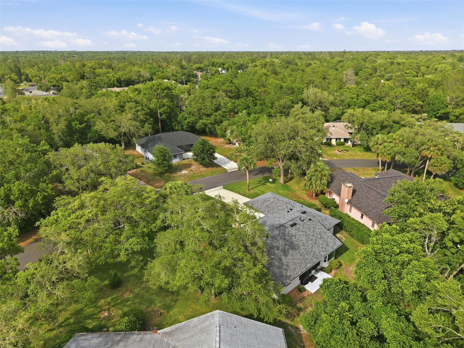 7 SALVIA CT W, HOMOSASSA, FL — photo 39