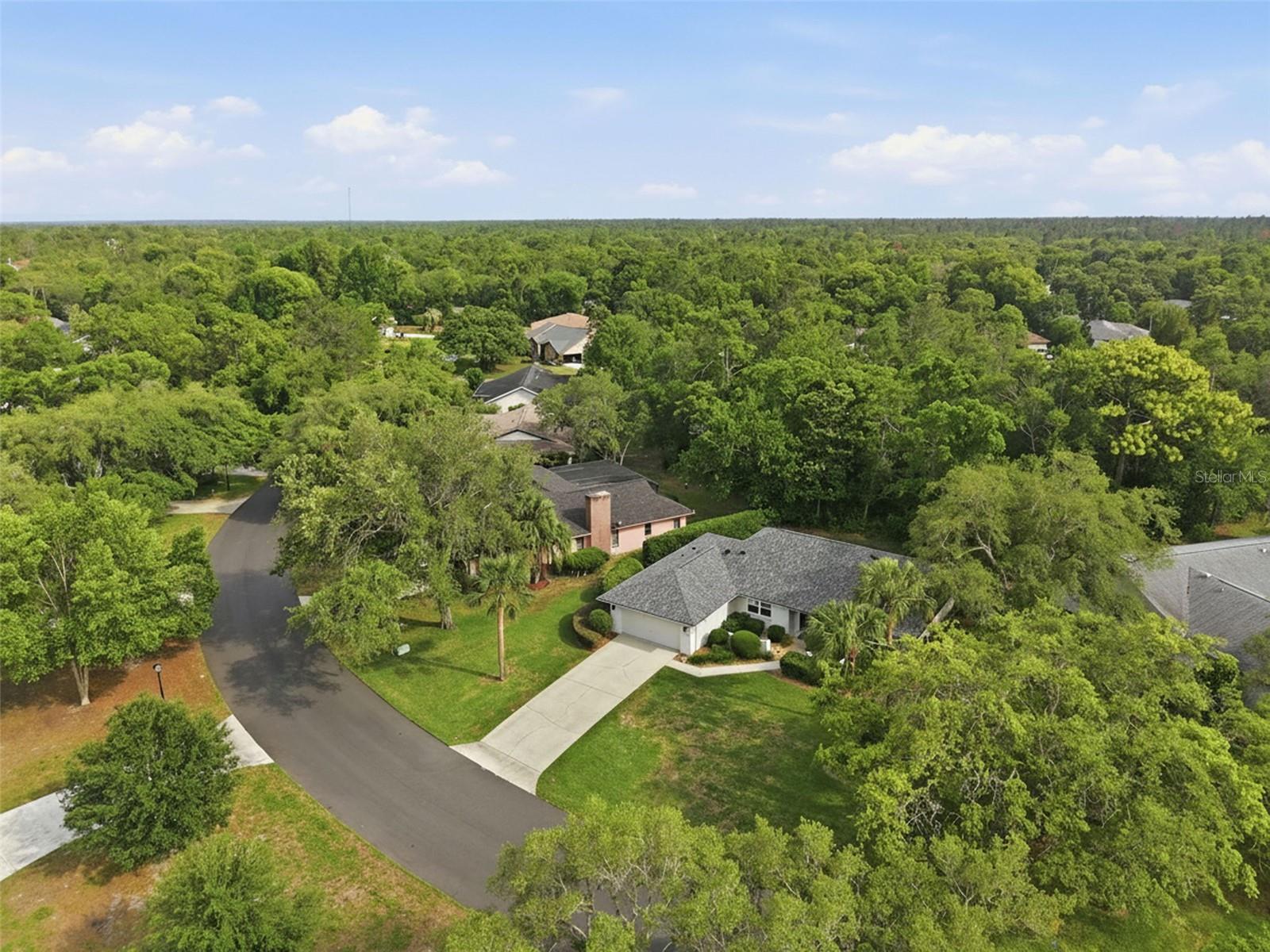 7 SALVIA CT W, HOMOSASSA, FL — photo 40