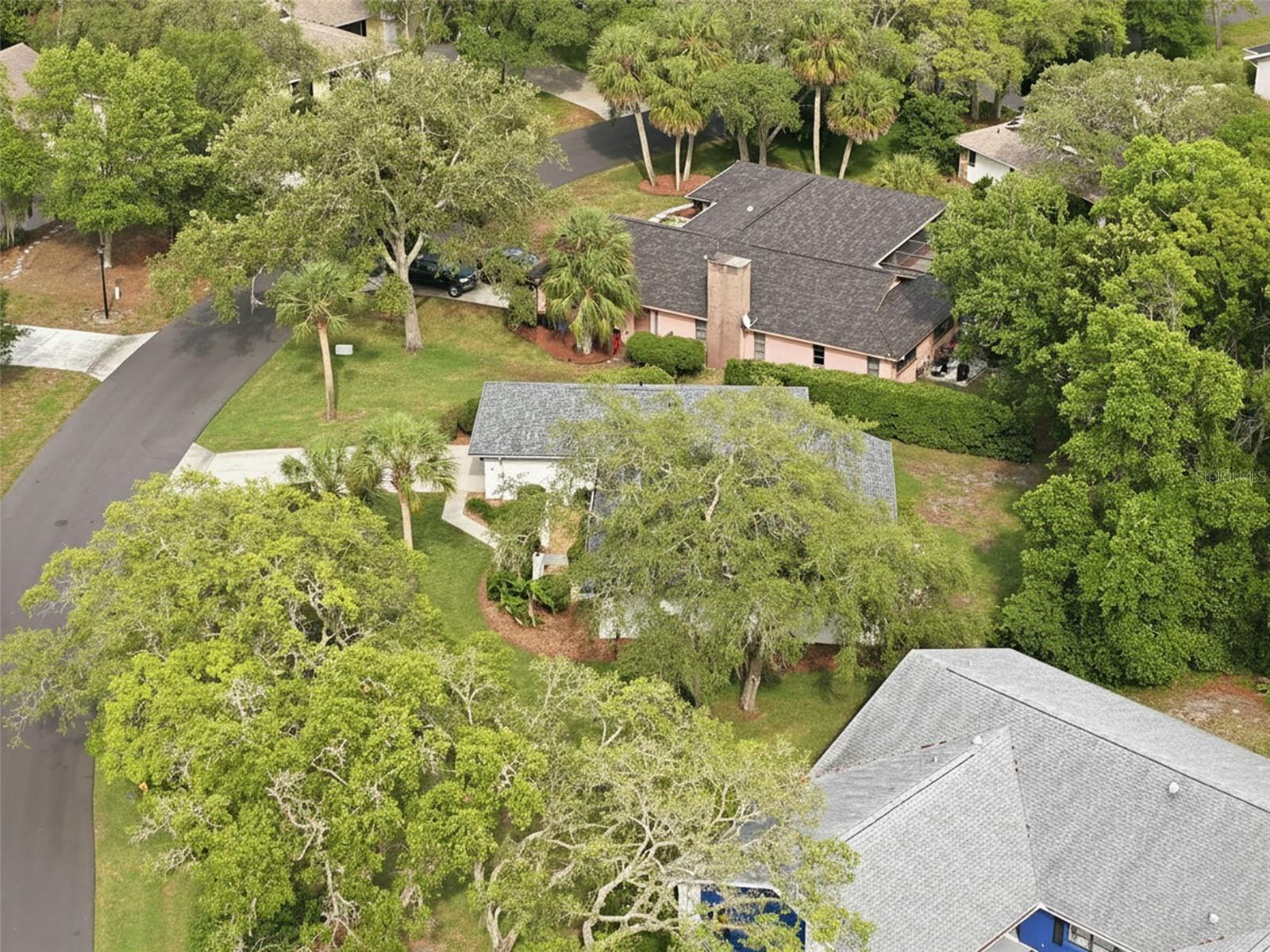7 SALVIA CT W, HOMOSASSA, FL — photo 42