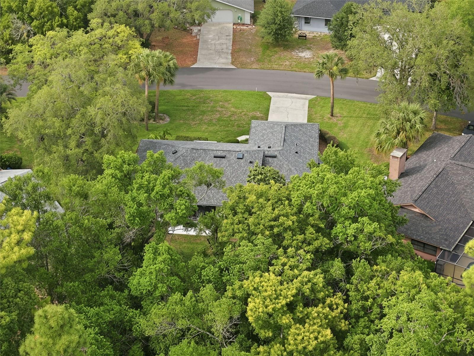 7 SALVIA CT W, HOMOSASSA, FL — photo 44