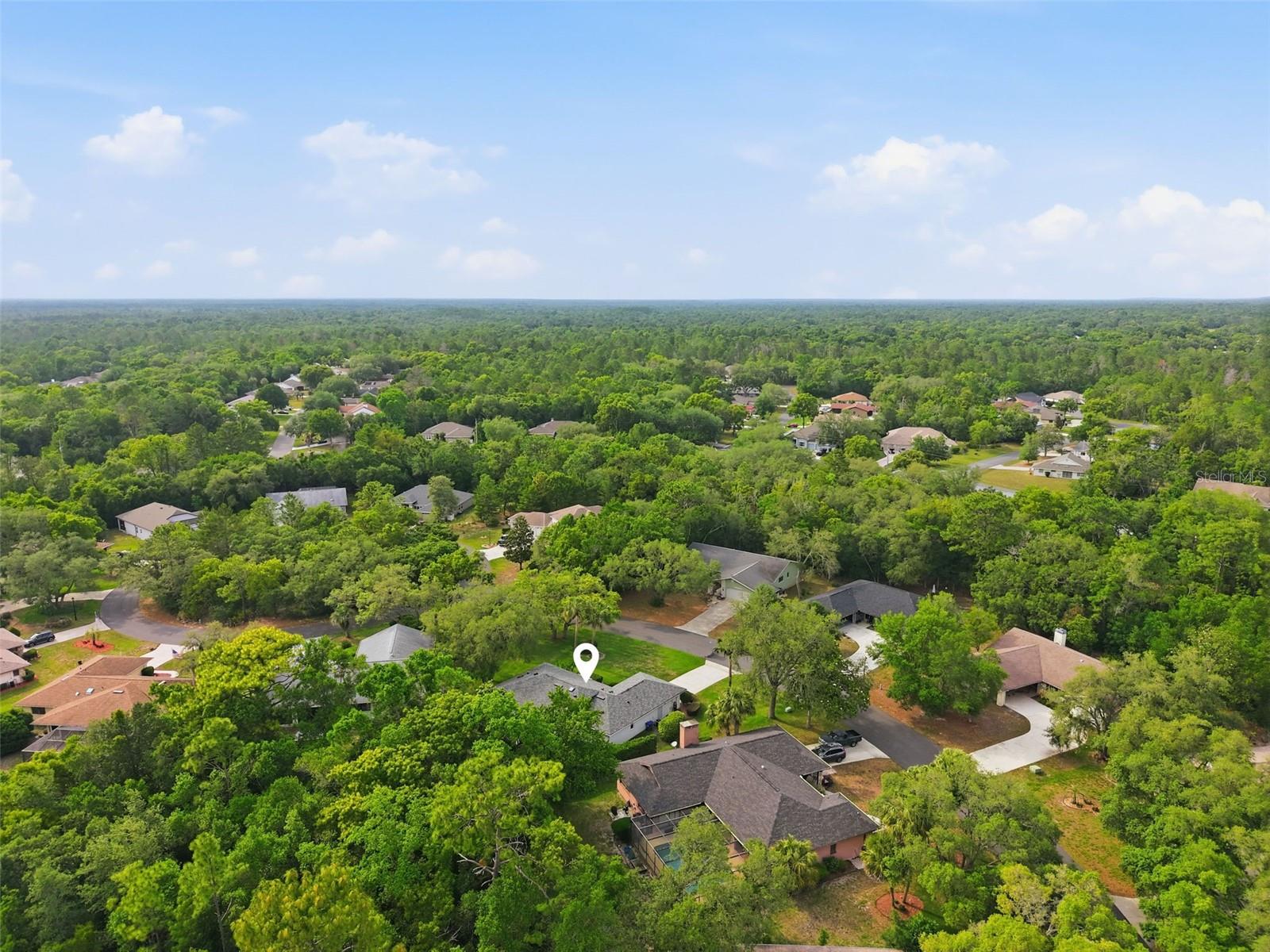 7 SALVIA CT W, HOMOSASSA, FL — photo 46