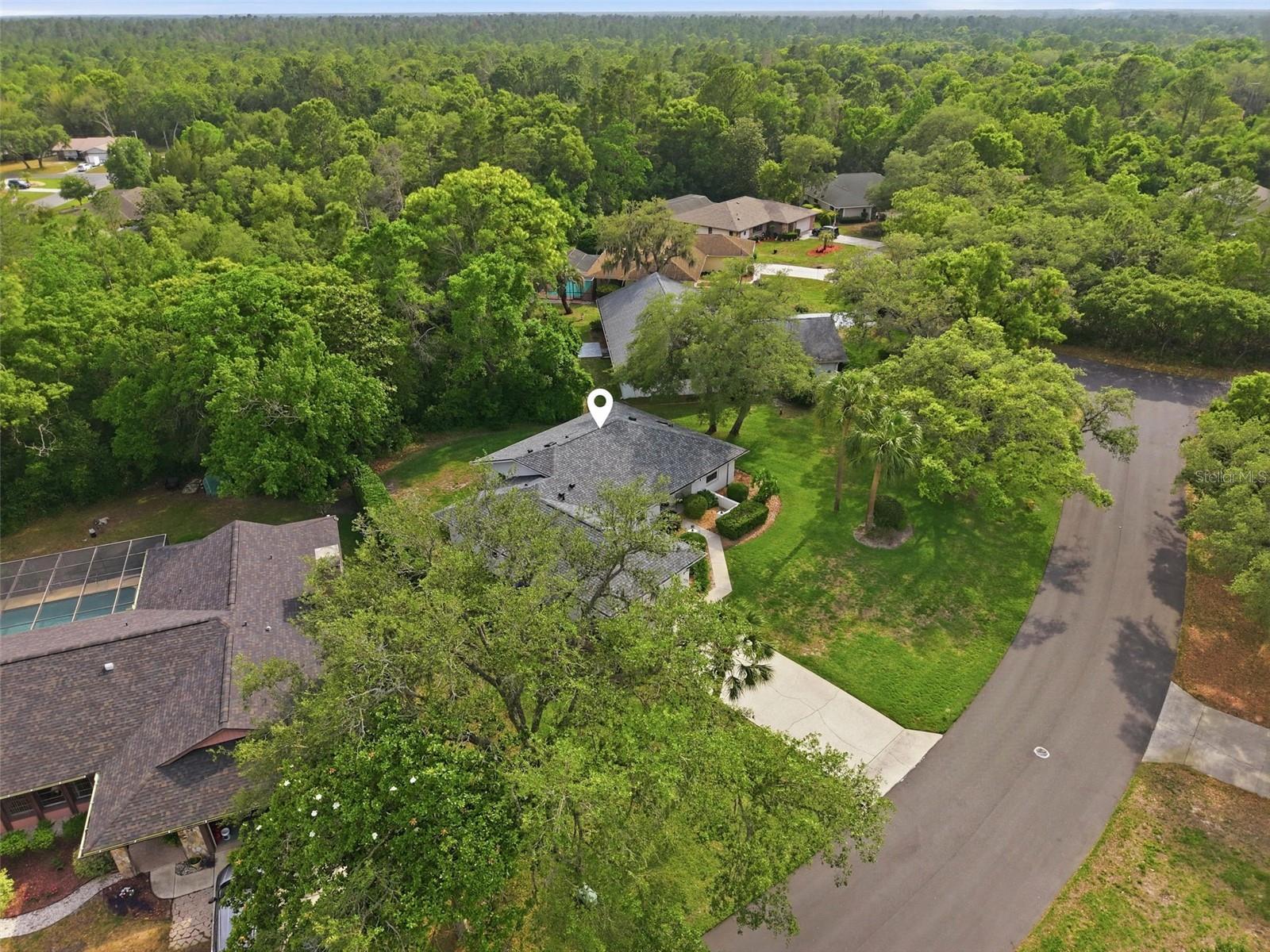 7 SALVIA CT W, HOMOSASSA, FL — photo 47