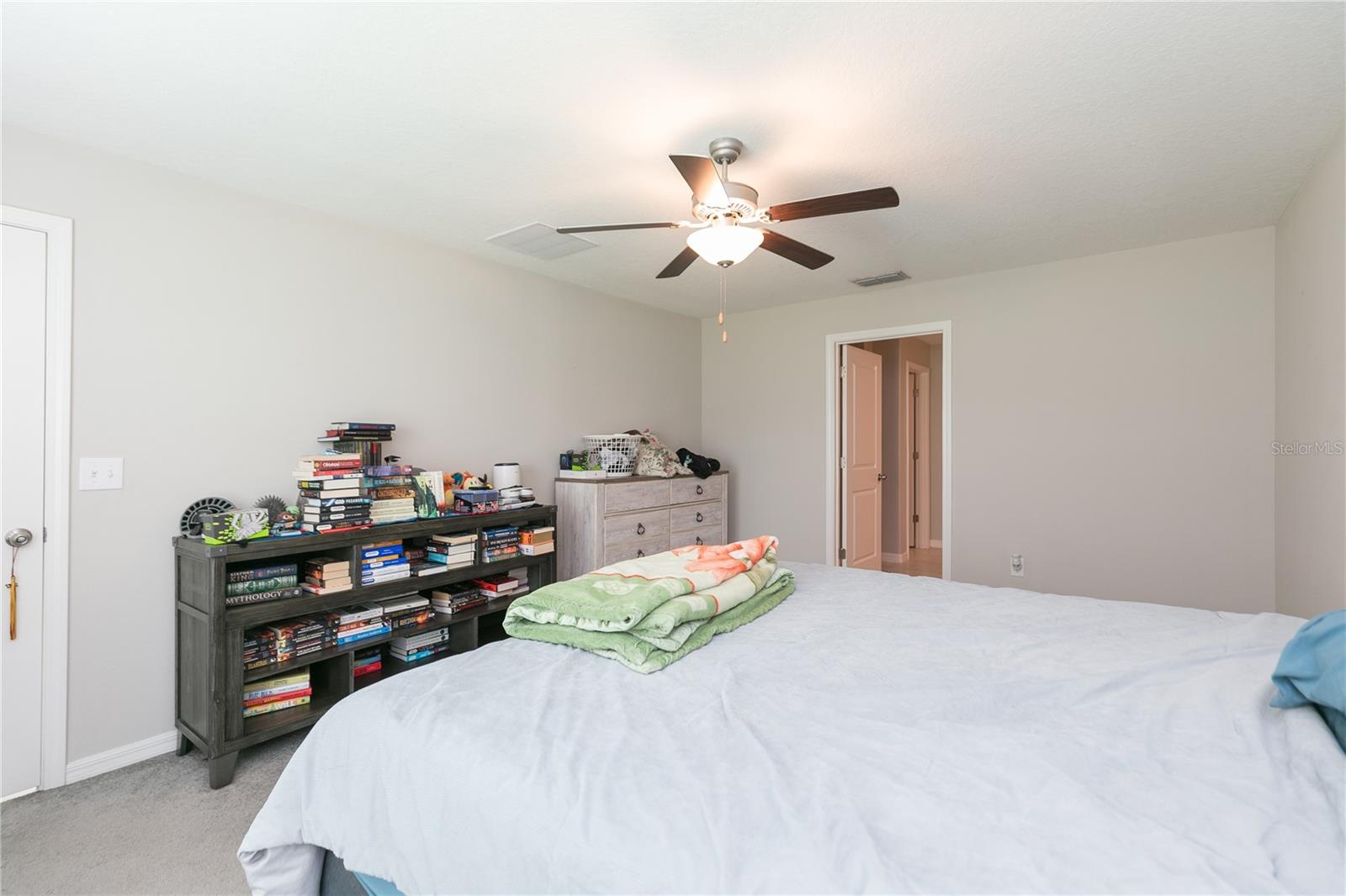 13608 WILLOW BLUESTAR LOOP, RIVERVIEW, FL — photo 23