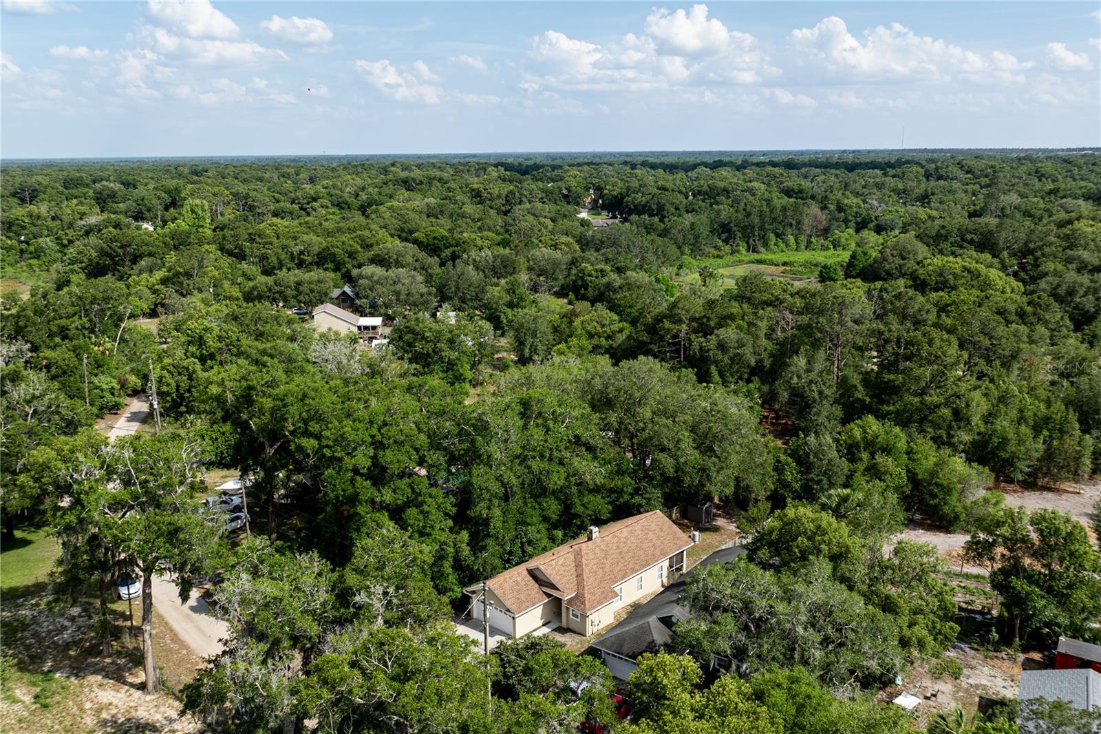 31080 LOCHMORE CIR, SORRENTO, FL — photo 64