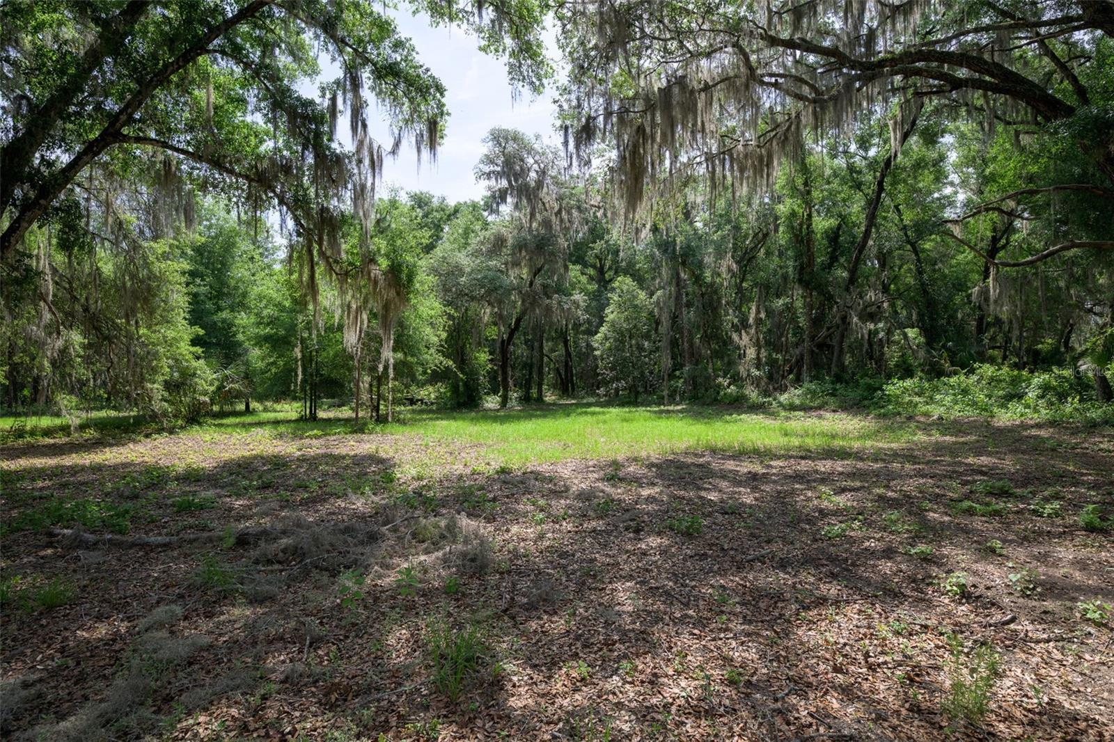 374 SISCO RD, POMONA PARK, FL — photo 23