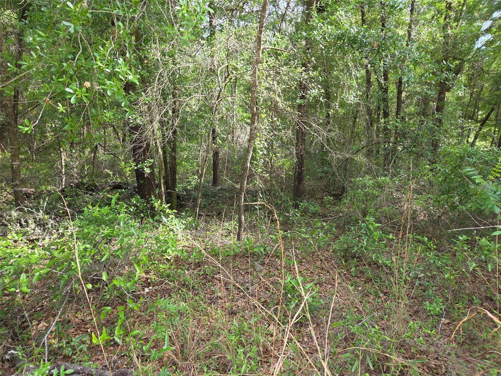 0000 NE 85TH ST, BRONSON, FL