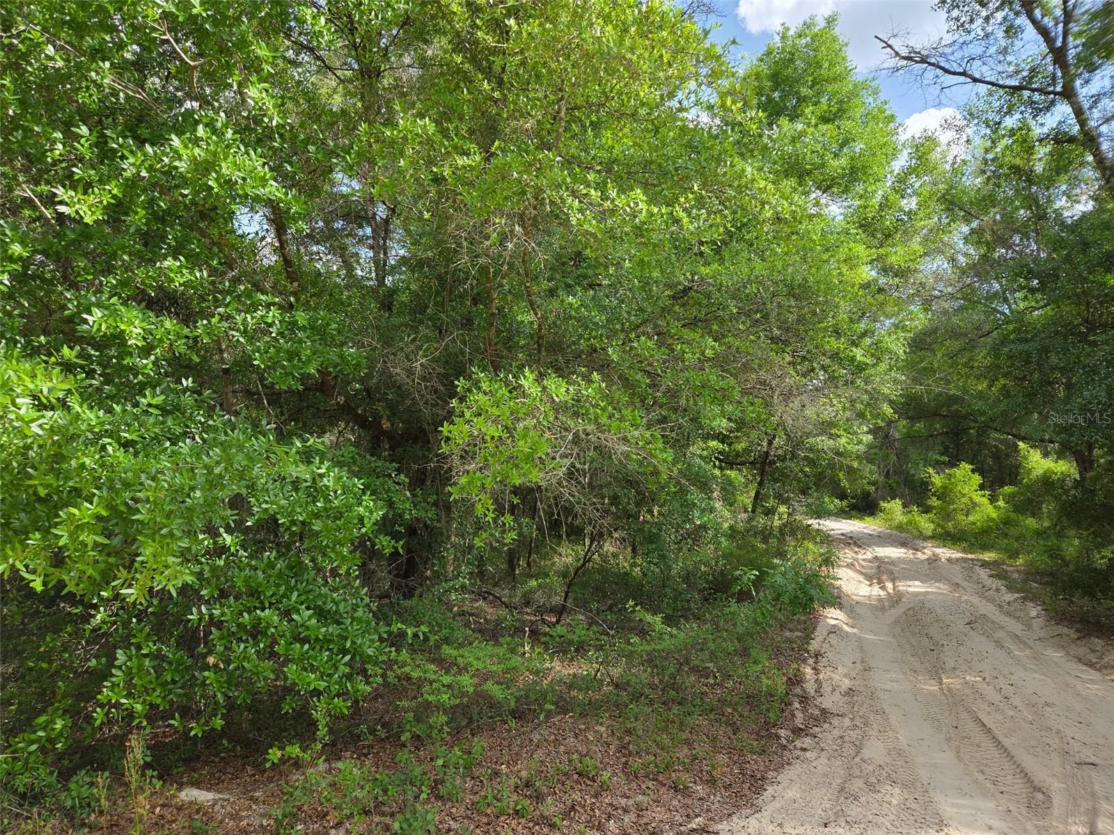 0000 NE 85TH ST, BRONSON, FL — photo 4