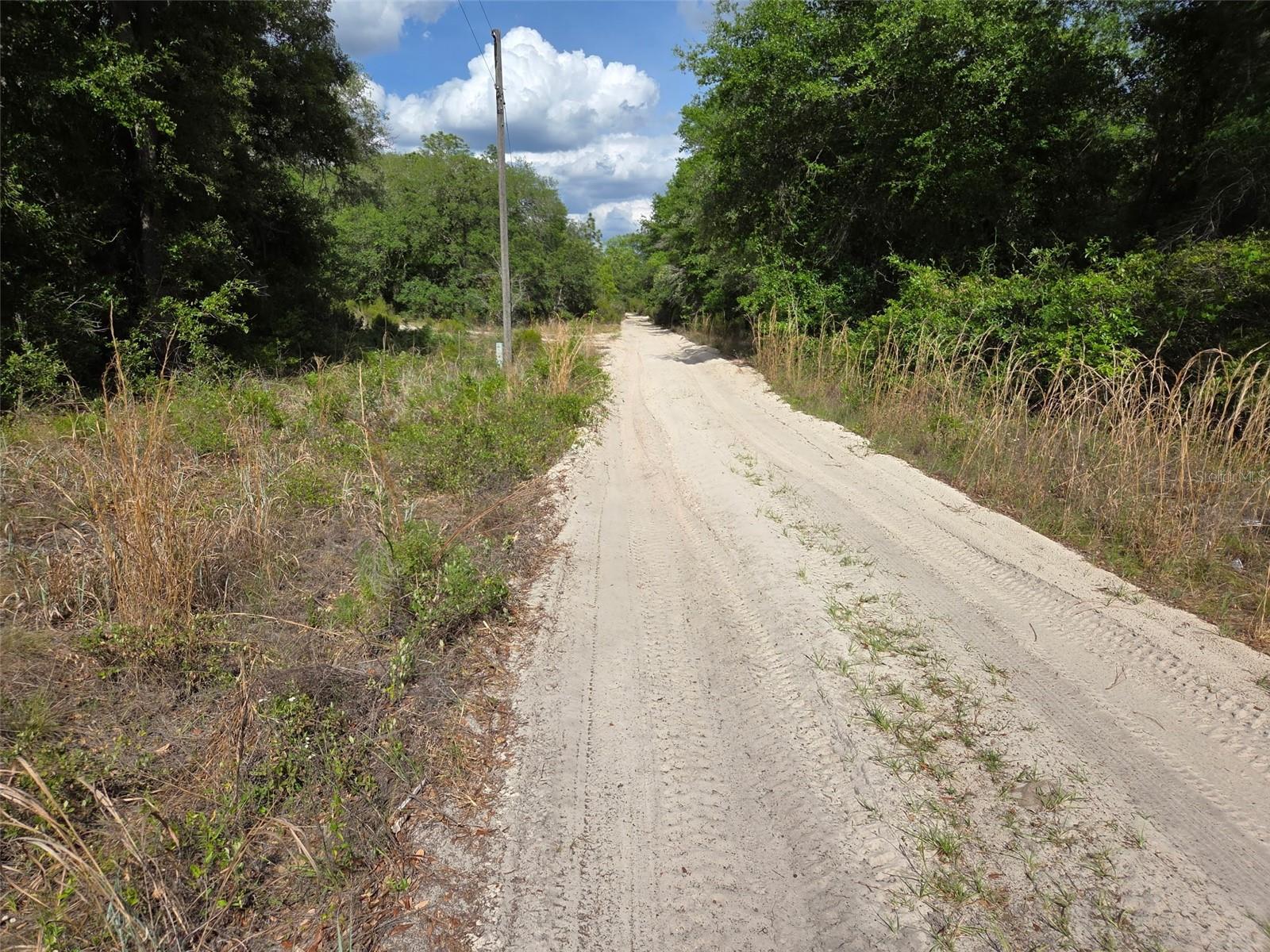 0000 NE 85TH ST, BRONSON, FL — photo 8