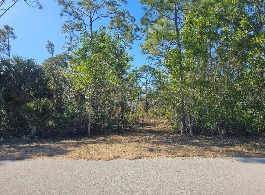4170 OLD BURNT STORE RD, CAPE CORAL, FL — photo 12