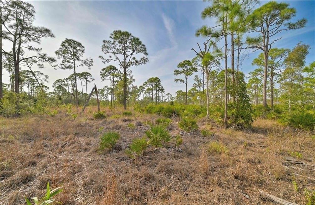 4170 OLD BURNT STORE RD, CAPE CORAL, FL — photo 13