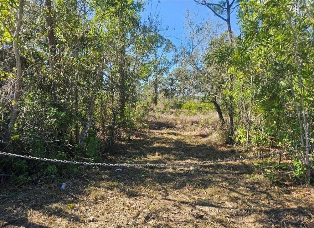 4170 OLD BURNT STORE RD, CAPE CORAL, FL — photo 14