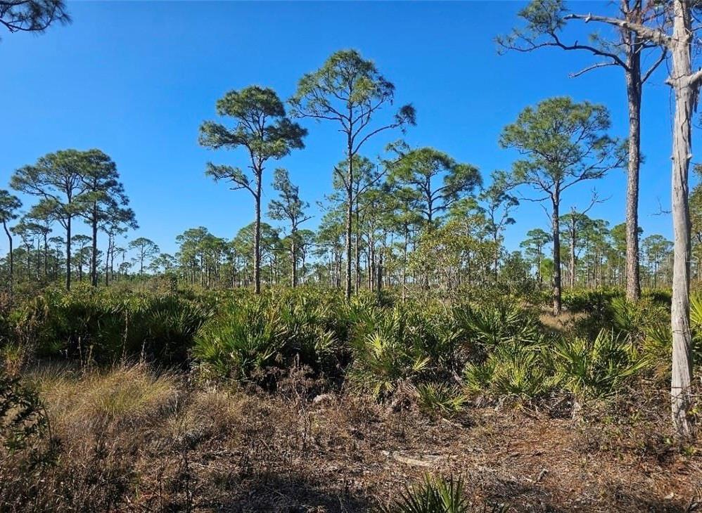4170 OLD BURNT STORE RD, CAPE CORAL, FL — photo 15