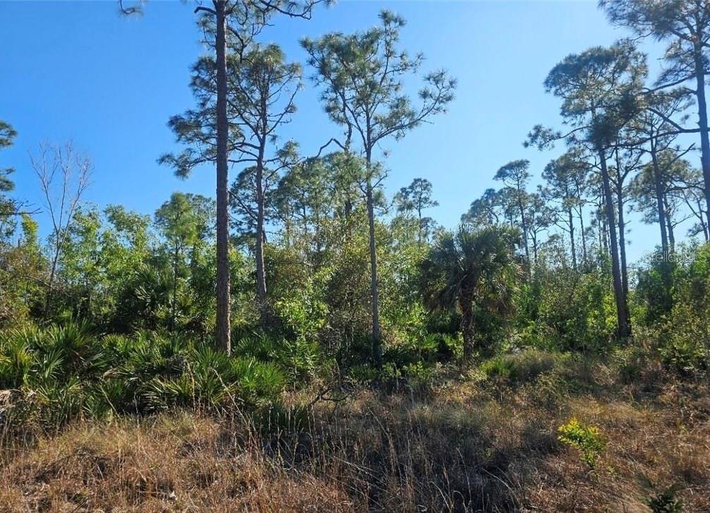 4170 OLD BURNT STORE RD, CAPE CORAL, FL — photo 16