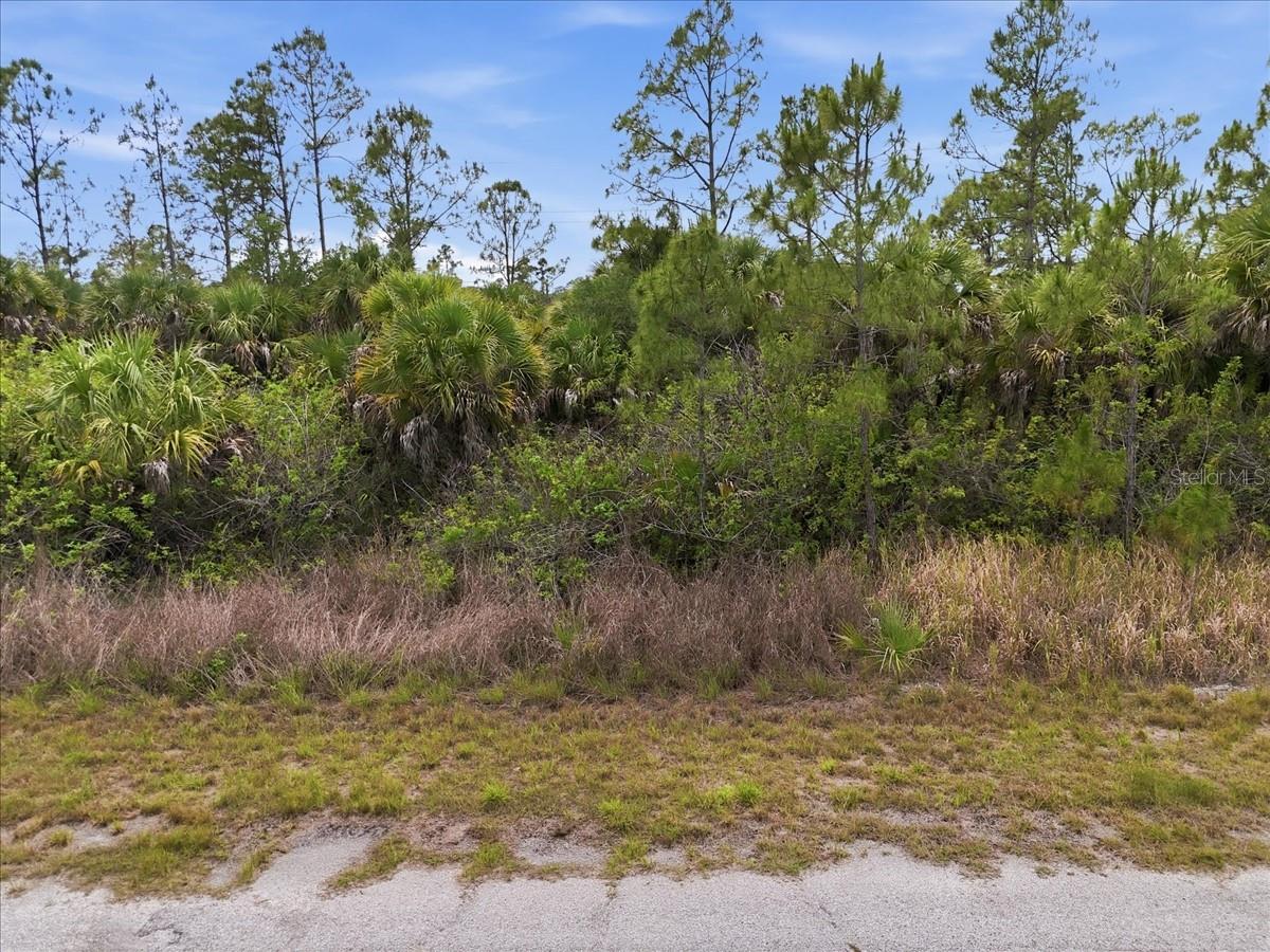 KIMBERLY DR, NORTH PORT, FL — photo 34