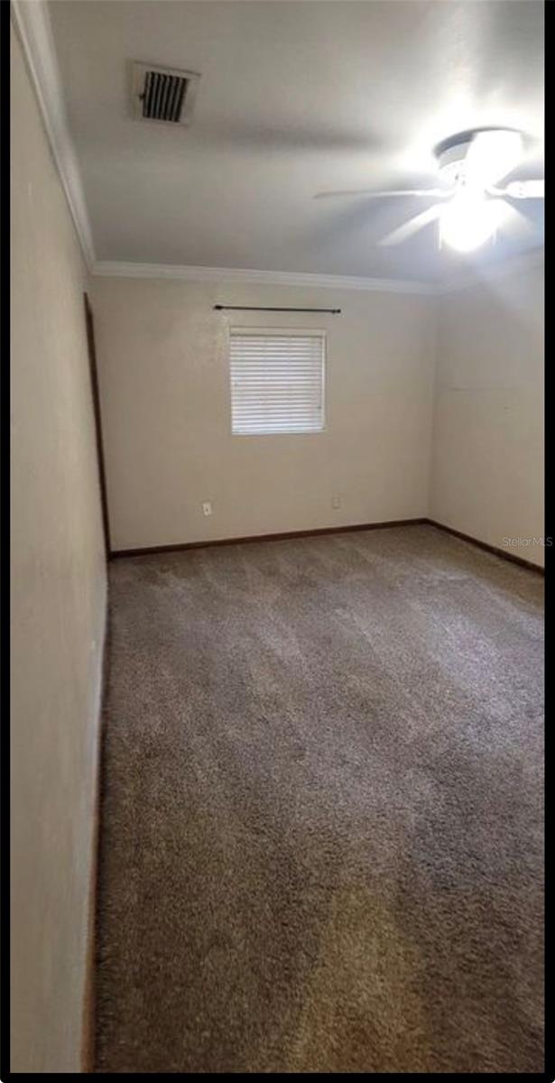 3805 NW 50TH ST, GAINESVILLE, FL — photo 10