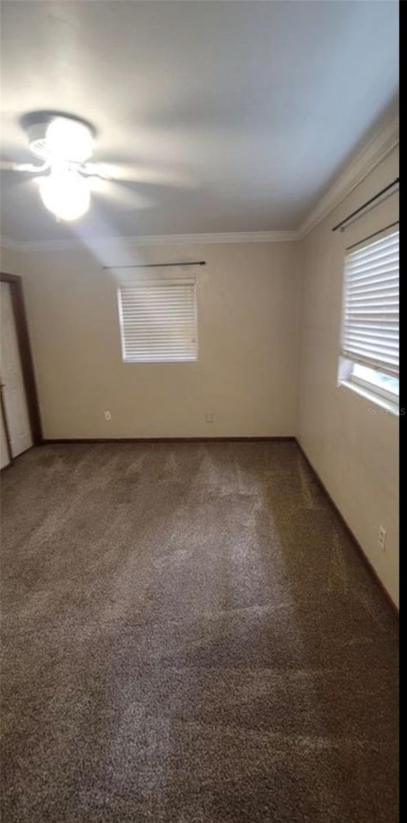 3805 NW 50TH ST, GAINESVILLE, FL — photo 11