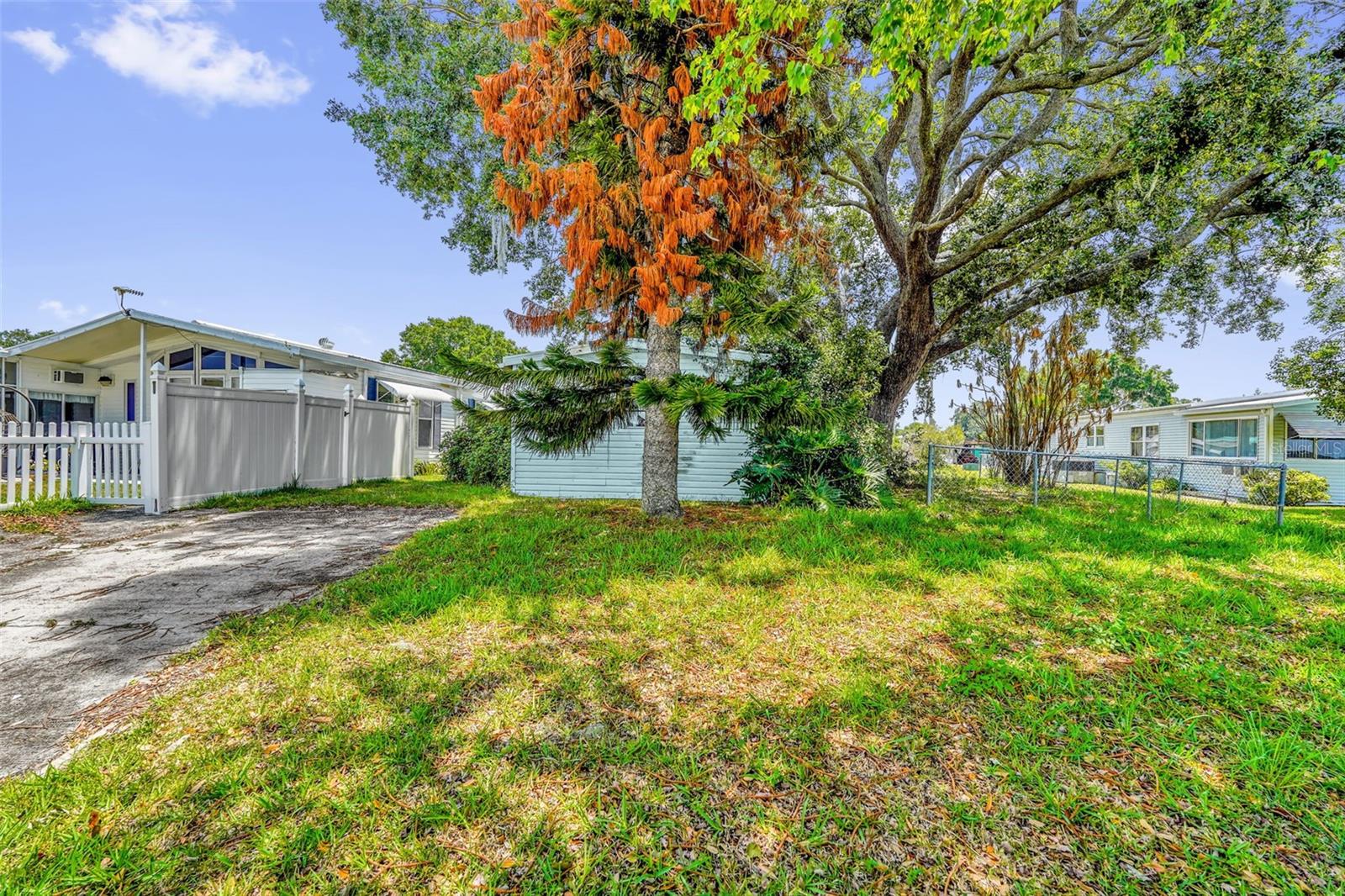 2050 THELMA DR, LAKE ALFRED, FL — photo 12