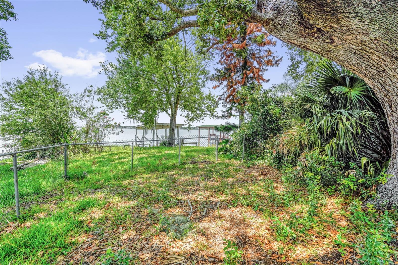 2050 THELMA DR, LAKE ALFRED, FL — photo 20