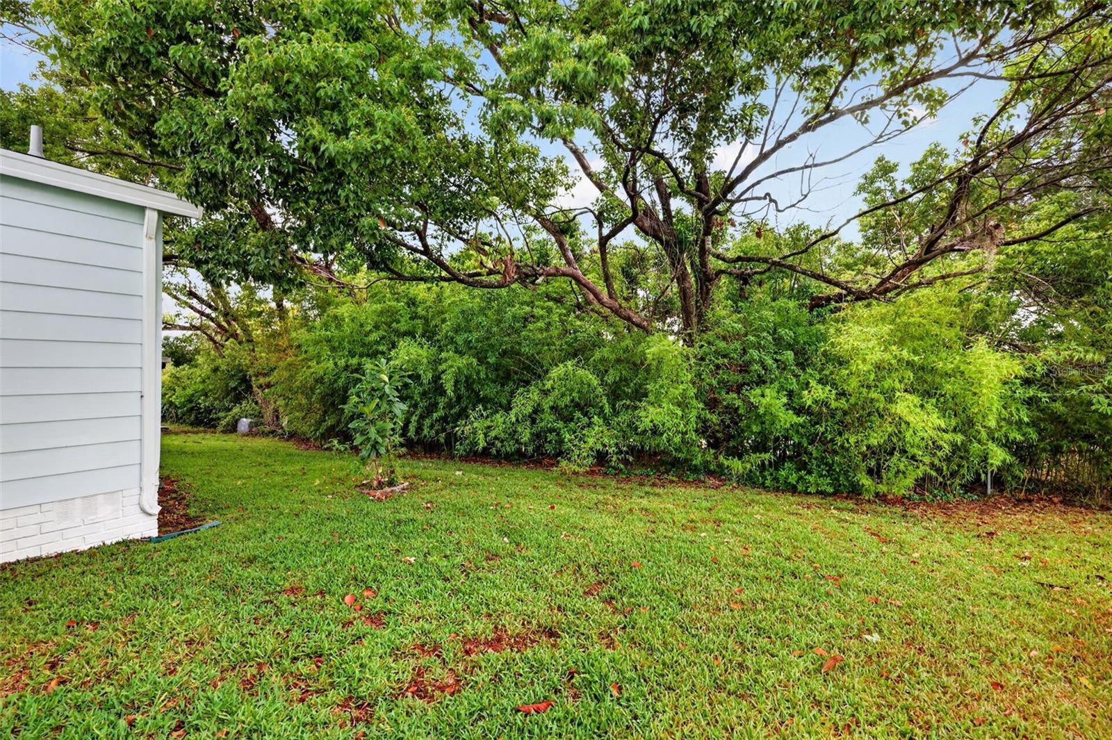 1507 E SCHWARTZ BLVD, THE VILLAGES, FL — photo 68