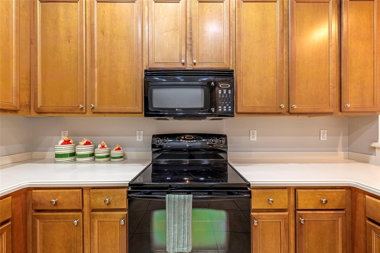 4717 CASSWELL DR, NEW PORT RICHEY, FL — photo 15