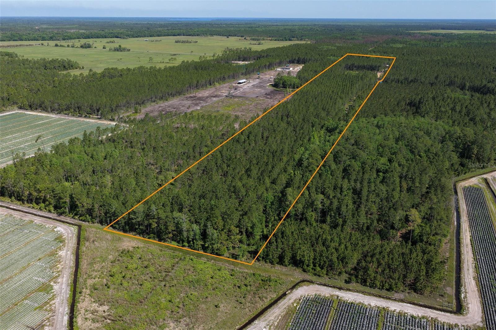 15539 COUNTY RD 305, BUNNELL, FL — photo 2