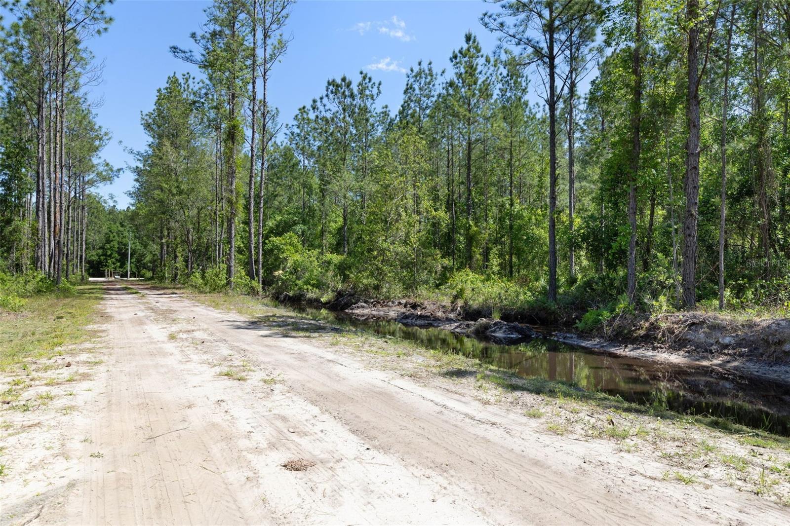 15539 COUNTY RD 305, BUNNELL, FL — photo 3