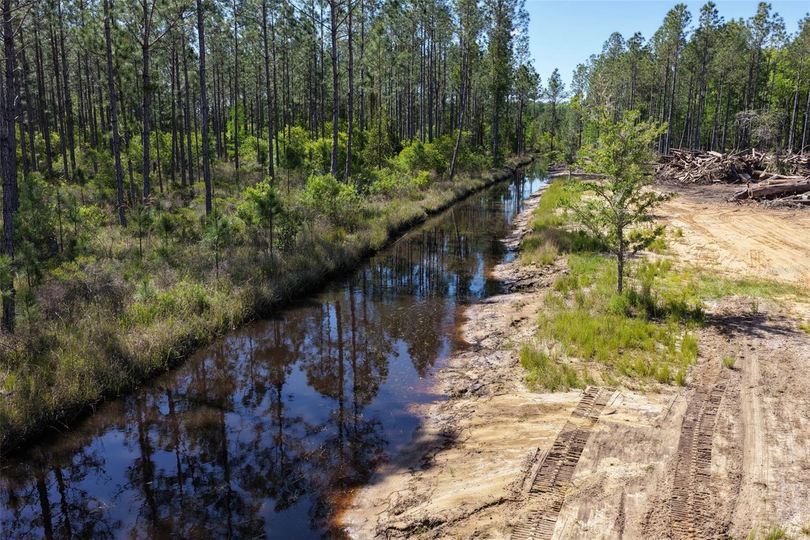 15539 COUNTY RD 305, BUNNELL, FL — photo 16
