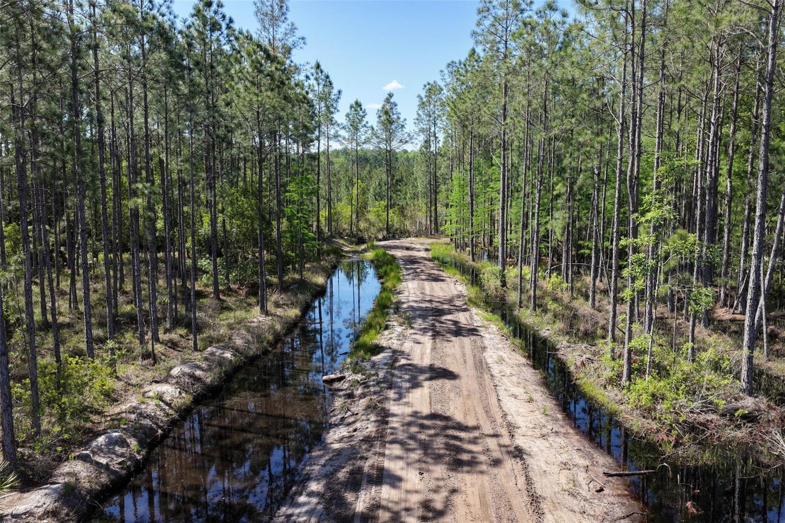 15539 COUNTY RD 305, BUNNELL, FL — photo 17