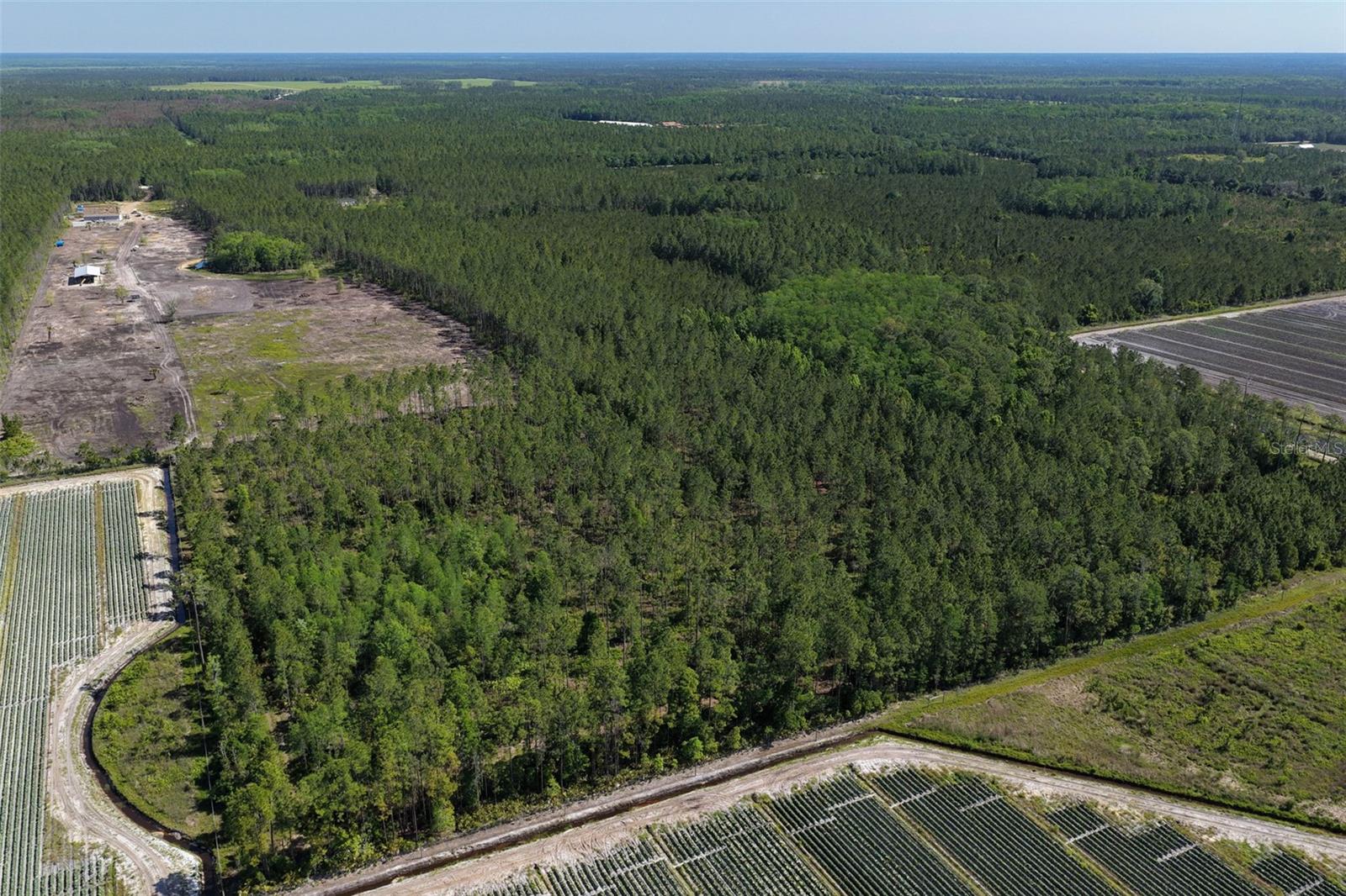 15539 COUNTY RD 305, BUNNELL, FL — photo 26