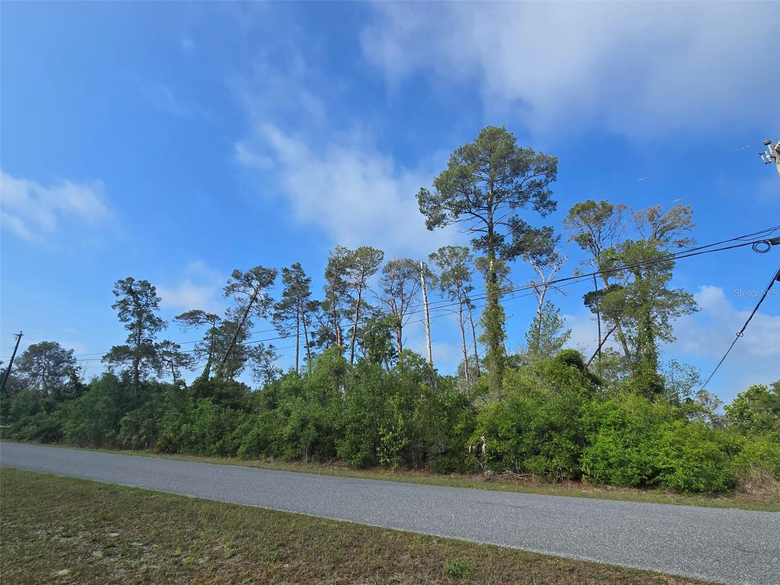 10044 NODDY TERN RD, WEEKI WACHEE, FL — photo 3