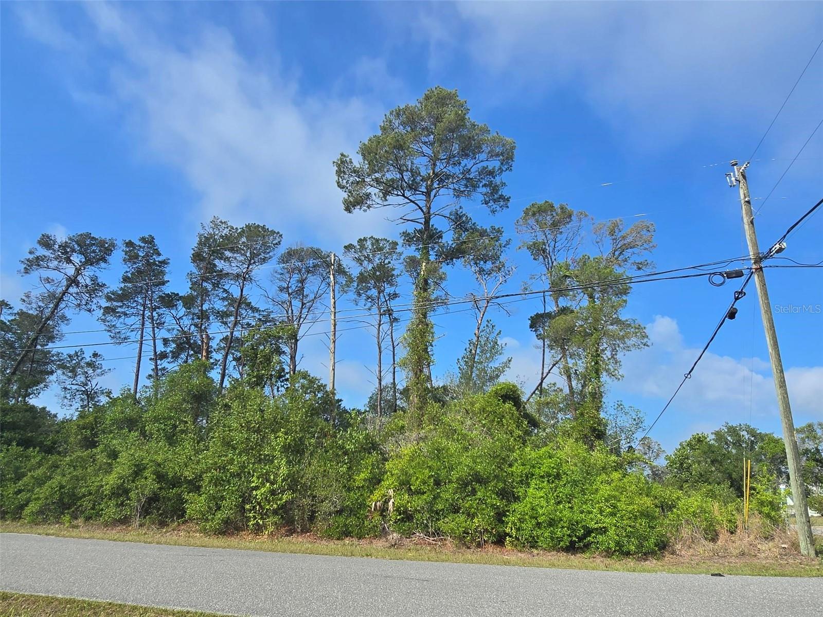 10044 NODDY TERN RD, WEEKI WACHEE, FL — photo 4