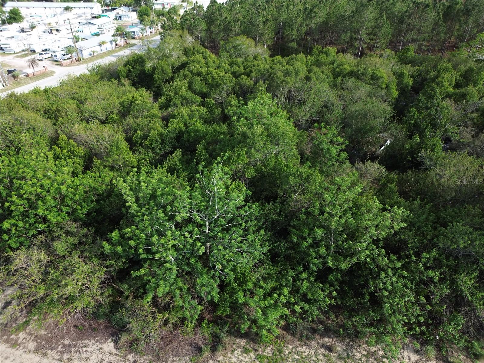 3055 SR-17 N, SEBRING, FL